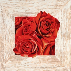Quadro, stampa su tela. Pierre Benson, French Roses I