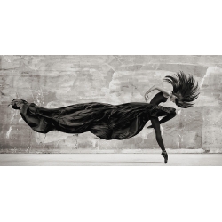 Cuadro en canvas, fotografía. Julian Lauren, Black Swan
