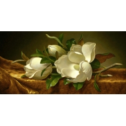 Cuadros bodegones en canvas. Magnolia flores sobre una tela
