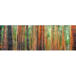Quadro, stampa su tela. Pangea Images, I colori del bosco