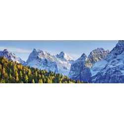 Wall art print and canvas. Krahmer, Larch forest and Cima bel Pra, Italy