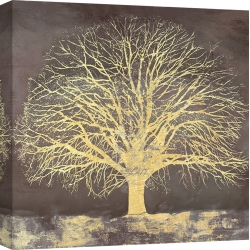 Wall art print and canvas. Alessio Aprile, Golden Oak