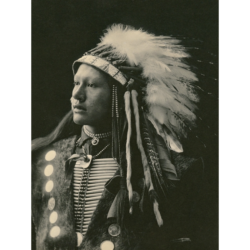 Quadro Stampa Su Tela Indiani D America John Hollow Horn Bear Sioux 18