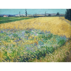 Cuadro en canvas. Vincent van Gogh, Campo de trigo