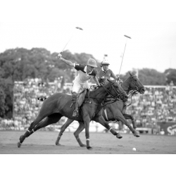 Cuadro en canvas, fotos historicas. Jugadores de polo, Argentina
