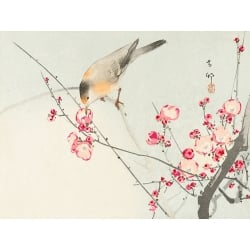 Quadro, stampa su tela. Koson Ohara, Uccellino su un ramo in fiore