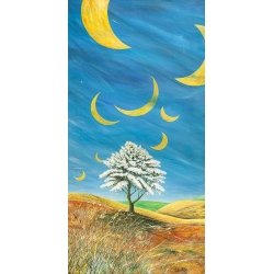 Whimsical Wall Art Print and Canvas. Moons in the sky