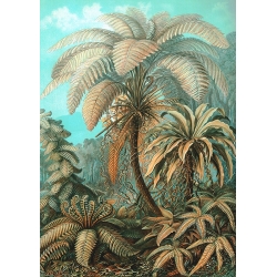 Tableau sur toile. Affiche botanique de Ernst Haeckel, Filicinae