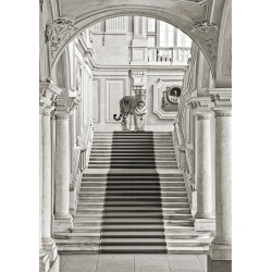Wall Art Print and Canvas. Tiger in a classical interior