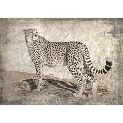 Wall Art Print and Canvas. Memories of Africa II, Cheetah
