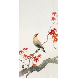Cuadros en lienzo y poster. Pájaro japonés en un arce