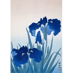 Tableau japonais. Ohara Koson, Fleurs d'iris