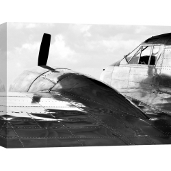 Wall art print and canvas. Monica Borboor, Vintage Aircraft (detail)