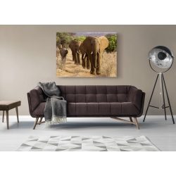 Wall art print and canvas. Herd of African Elephants, Kenya