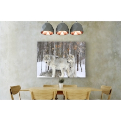 Wall art print and canvas. Grey wolves huddle together during a snowstorm, Quebec