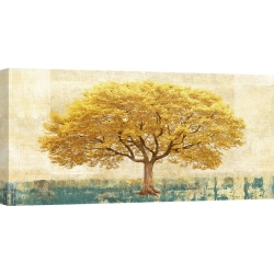 Wall art print and canvas. Leonardo Bacci, Gilded Oak